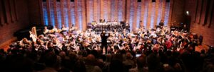 The back of an audience watching a man in a suit conducting an orchestra under stage lights