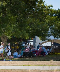 people gathered, some seated, some milling about, outdoors in a summer garden with a marquee and bunting