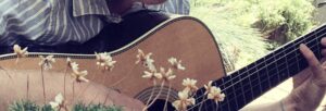 Acoustic guitar being played with grass behind and wild flowers in front